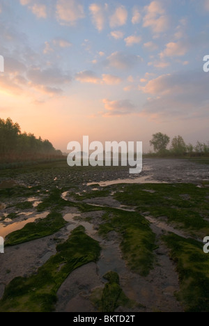 Natuurontwikkeling in Klein Profijt Bij Zonsopkomst; Naturentwicklung in Klein Profijt bei Sonnenaufgang Stockfoto