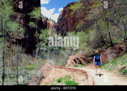 Weibliche Wanderer Wanderer am Riverside Walk entlang Virgin River Zion Canyon Zion National Park Utah USA Kim Paumier Herr Stockfoto