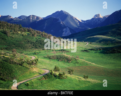 Kurvenreiche Bergstrasse Kies durchläuft die grünen Ausläufer des Gebirges Absaroka, Sommer, Park County, Montana, USA. Stockfoto