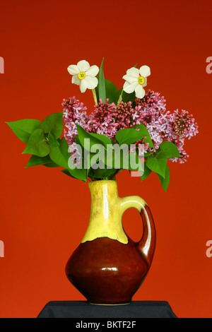 Schöner Frühling Blumen Stockfoto