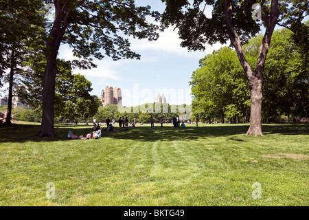 menschenleeren Sheeps Wiese an einem schönen Frühlingstag Wochentag am Nachmittag im Central Park New York City Stockfoto