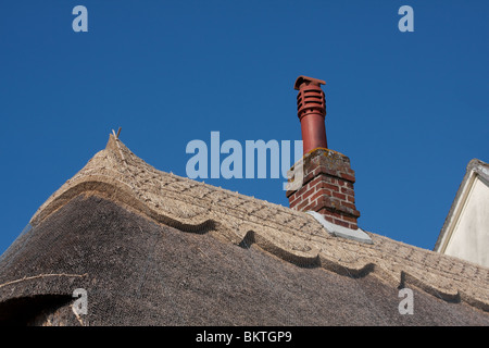 Ein neu Strohdach Wendens Ambo, Essex Stockfoto