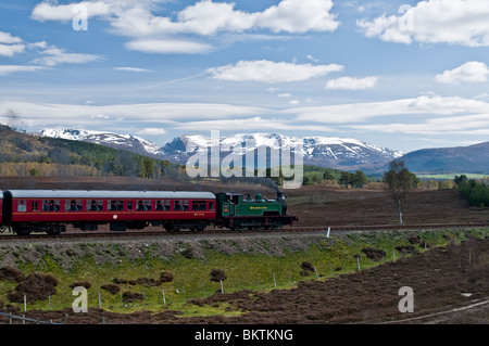 Der Strathspey Dampf Eisenbahn zwischen Boat of Garten und Aviemore mit den Cairngorm Mountains.  SCO 6190 Stockfoto