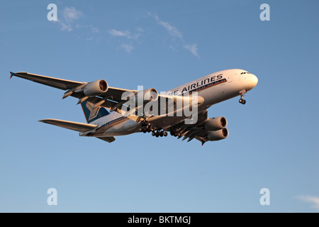 Ein Singapore Airlines Airbus A380-841 landet auf dem Flughafen Heathrow, London, UK. (9V-SKG) Stockfoto