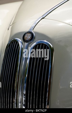 Vordere Nase Detail Bristol 400 zwei Liter. Stockfoto