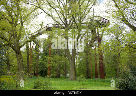 Die Baumkrone Gehweg in Kew Gardens gesehen durch zeitigen Frühjahr Laub in Kew Gardens, London, UK Stockfoto