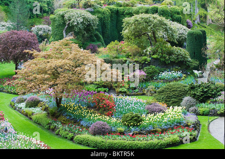 Versunkene Garten, Mai, Butchart Gardens, Frühling, Vancouver Island, BC Kanada Stockfoto