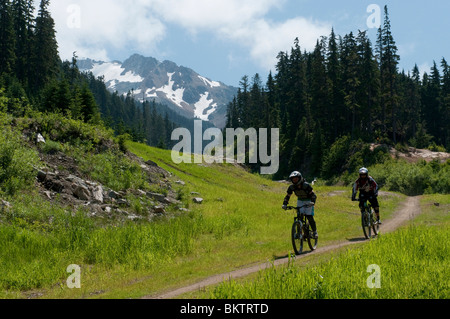 Downhill Mountainbiken in den weltberühmten Whistler Bike Park in Whistler, BC, Kanada Stockfoto