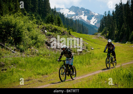 Downhill Mountainbiken in den weltberühmten Whistler Bike Park in Whistler, BC, Kanada Stockfoto