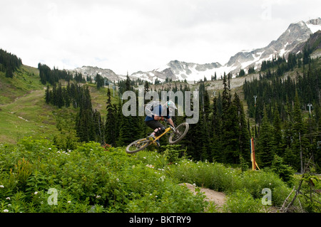 Downhill Mountainbiken in den weltberühmten Whistler Bike Park in Whistler, BC, Kanada Stockfoto