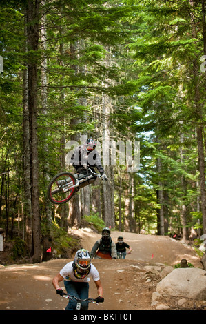 Downhill Mountainbiken in den weltberühmten Whistler Bike Park in Whistler, BC, Kanada Stockfoto