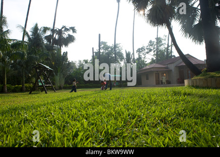 Familie, spielen im Garten Stockfoto