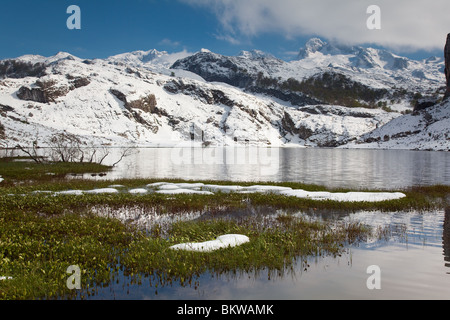 See von La Ercina, Covandonga Seen, Asturien, Spanien Stockfoto