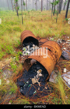 Die illegale Verklappung von Mülltonnen in einem Kiefernwald Südosten der Vereinigten Staaten Stockfoto