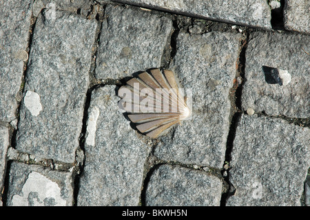 Messing-Jakobsmuschel auf gepflasterten Straße, unter Angabe des Jakobswegs. Limoges. Stockfoto