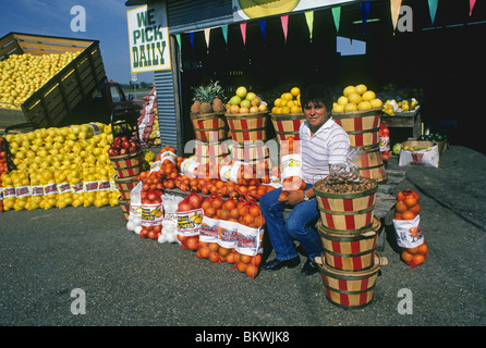 Ein am Straßenrand Obstverkäufer in der Nähe von Port Aransas, Texas, verkauft frische, lokale Grapefruit und Zwiebeln. Stockfoto