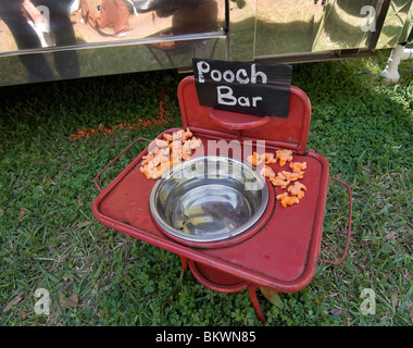 Kanapaha Gardens Spring Festival Gainesville Florida Hündchen Bar für Ihre Hundefreunde Stockfoto