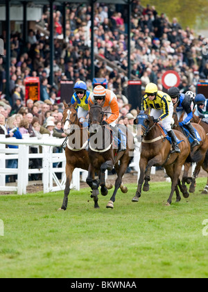 Horse racing-Action bei Plumpton Racecourse, East Sussex, UK. Bild Jim Holden. Stockfoto