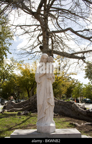 Eine Statue der Jungfrau Maria hält das Jesuskind vor einer Ceiba Baum, Little Havana, Miami, Florida Stockfoto