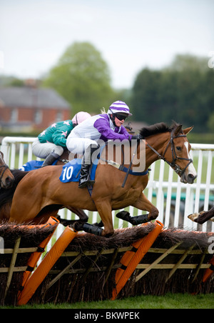 Horse racing-Action bei Plumpton Racecourse, East Sussex, UK. Bild Jim Holden. Stockfoto