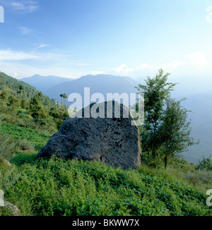 Riesiger Felsblock auf einer üppigen grünen Berghang in der Nähe von Kullu, Himachal Pradesh, Indien Stockfoto