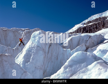 Eiskletterer auf dem Columbia Icefield (325 qkm), Jasper Nationalpark, Rocky Mountains, Alberta, Kanada Stockfoto