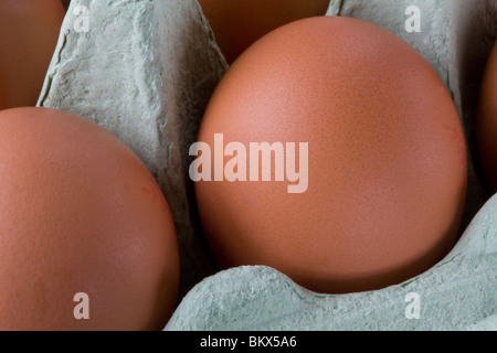 Braunen Eiern in einem Karton Stockfoto