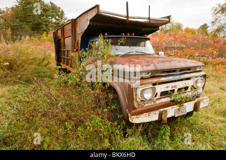 Eine Szene aus dem Benjamin-Bauernhof in Scarborough, Maine. Stockfoto