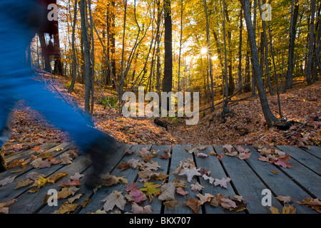 Ein Mann wandert über eine Fußgängerbrücke am Presumpscot-Fluss in Portland, Maine. Fallen.  A. Stockfoto