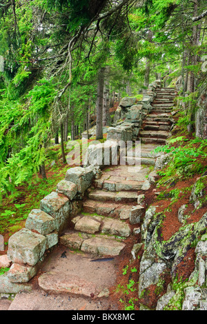 Eine Steintreppe in den Thuja-Gärten in Northeast Harbor, Maine. Stockfoto