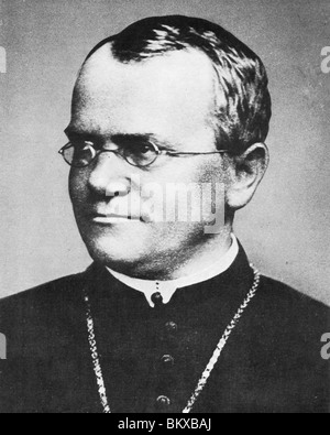 GREGOR JOHANN MENDEL - österreichischer Botaniker (1822-84) Stockfoto