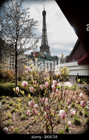 Sommerzeit in Paris, Blick auf den Eiffelturm vom neuen Garten des Musée du Quai Branly. Stockfoto