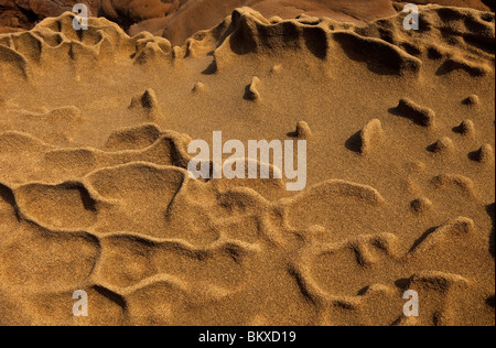 Die Formen und Strukturen der Sandsteinfelsen an der kalifornischen Küste 30 Meilen nördlich von Santa Cruz, USA Stockfoto