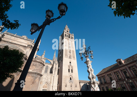 Giralda Kathedrale von Plaza Virgen de Los Reyes in Sevilla, Spanien Stockfoto