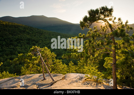 Die Ansicht der Wassergraben Berg von Dom Leiste im Echo Lake State Park in North Conway, New Hampshire. White Mountains. Stockfoto