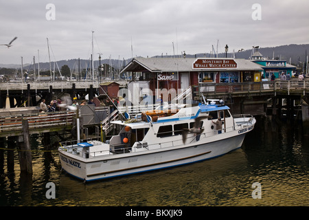 Whalewatching ist eine beliebte Aktivität auf Monterey Bay und eine Anzahl von Booten basieren auf Fishermans Wharf in Monterey CA USA Stockfoto