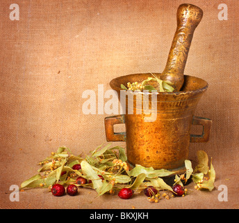 Alte Bronze Mörser mit Linden und Hagebutten auf Entlassung Hintergrund Stockfoto