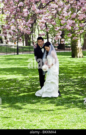 zurückhaltende chinesische Braut nimmt ihr Bräutigam Hand, wie sie unter Cluster von blühenden Kirschblüten im Central Park in New York darstellen Stockfoto
