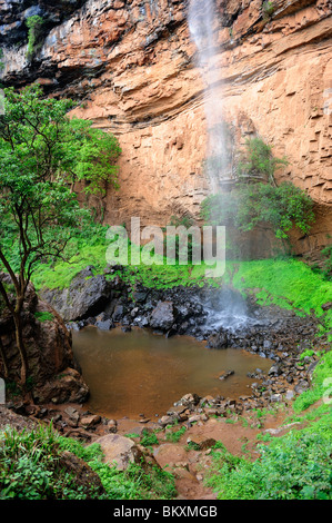 Bridal Veil Falls in der Nähe von Sabie in Provinz Mpumalanga, Südafrika Stockfoto