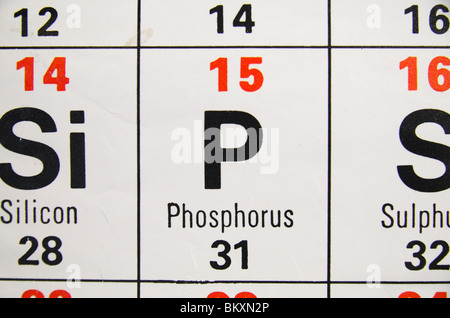 Nahaufnahme einer UK Gymnasium periodische Standardtabelle mit Schwerpunkt auf die Nichtmetall Phosphor. Stockfoto