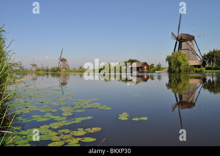 Holländische Mühle reflektiert in einem Kanal, Kinderdijk, Holland Stockfoto