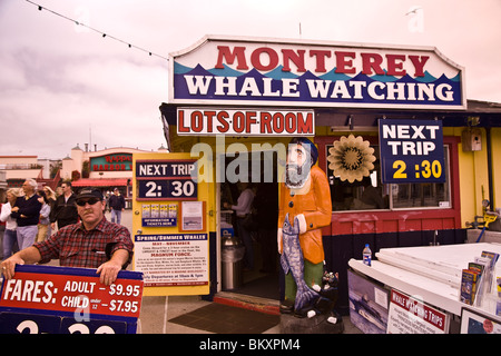 Whalewatching ist eine beliebte Aktivität auf Monterey Bay und mehrere Boote fahren von Fishermans Wharf in Monterey CA USA Stockfoto