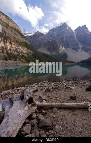 Das grüne Wasser des Moraine Lake reflektieren die schneebedeckten Bergen im Hintergrund, Tanne und Kiefer Bäume an den unteren hängen fallenden Stockfoto