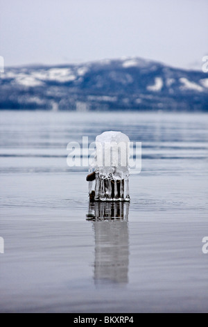 Eiszapfen tropft von der Pole Position im seichten Wasser des Lake Tahoe in der Morgendämmerung, South Lake Tahoe, Nevada, USA. Stockfoto