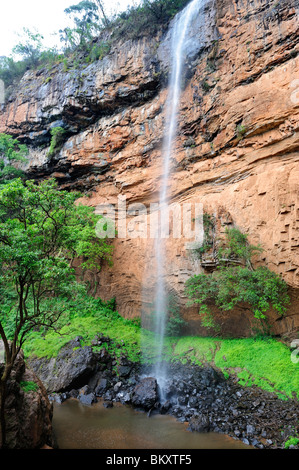 Bridal Veil Falls in der Nähe von Sabie in Provinz Mpumalanga, Südafrika Stockfoto