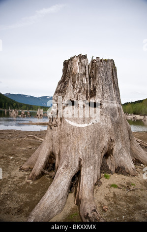 Eine natürliche Smiley-Gesicht auf einem Toten Baumstumpf an einem See Stockfoto