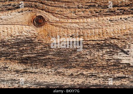 Holzstruktur mit Nob - abstrakt Stockfoto