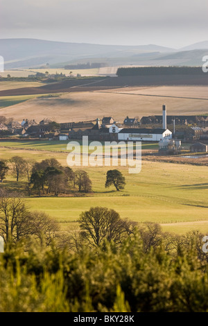 Ardmore Scotch Malt Whisky-Destillerie, Kennethmont, Aberdeenshire, Schottland Stockfoto