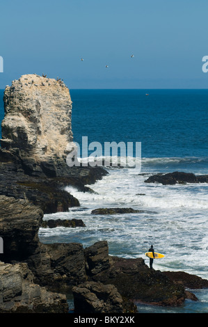 Ein Mann trägt einen Neoprenanzug Surfen steht auf einer felsigen Punkt mit seinem Surfbrett in Punta de Lobos, Pichilemu, Chile. Stockfoto