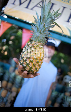 Mann steht vor dem Obst-LKW von der Straße in Maui, Hawaii und zeigt eine frische Ananas. Stockfoto